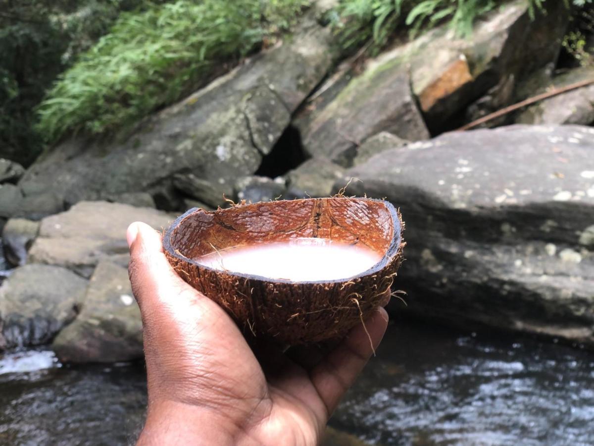 Palabaddala Tea And Eco Lodge 라트나푸라 외부 사진